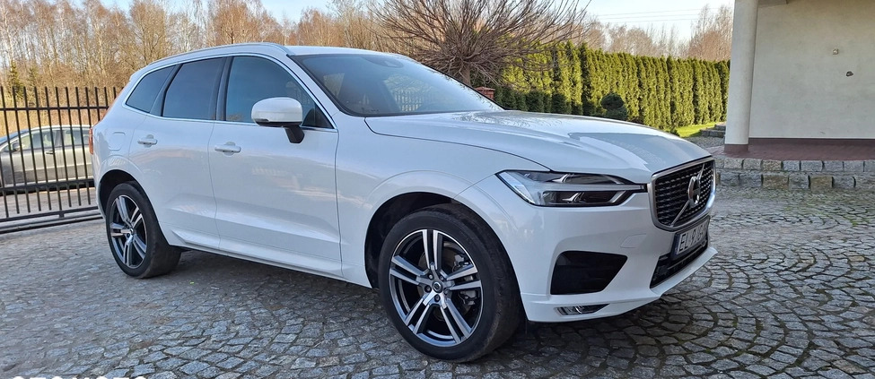 Volvo XC 60 cena 159900 przebieg: 39000, rok produkcji 2021 z Młynary małe 781